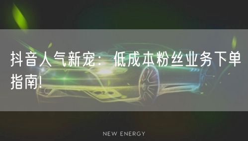 抖音人气新宠：低成本粉丝业务下单指南!