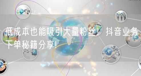 低成本也能吸引大量粉丝！抖音业务下单秘籍分享!