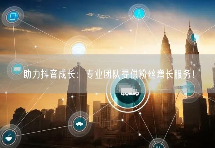 助力抖音成长：专业团队提供粉丝增长服务！