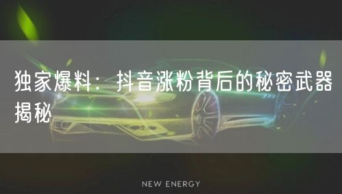 独家爆料：抖音涨粉背后的秘密武器揭秘