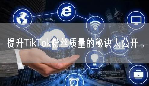 提升TikTok粉丝质量的秘诀大公开。