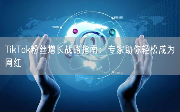 TikTok粉丝增长战略指南：专家助你轻松成为网红