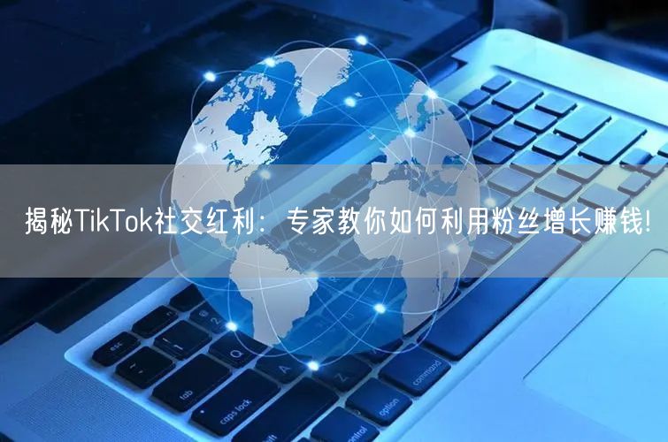 揭秘TikTok社交红利：专家教你如何利用粉丝增长赚钱!