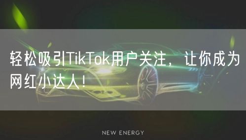 轻松吸引TikTok用户关注，让你成为网红小达人！