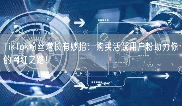 TikTok粉丝增长有妙招：购买活跃用户粉助力你的网红之路！