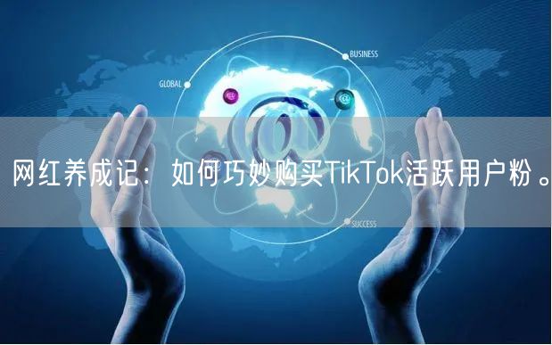 网红养成记：如何巧妙购买TikTok活跃用户粉。