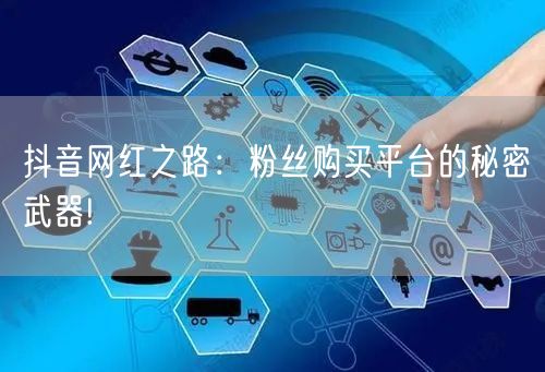 抖音网红之路：粉丝购买平台的秘密武器!