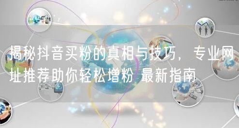揭秘抖音买粉的真相与技巧，专业网址推荐助你轻松增粉 最新指南