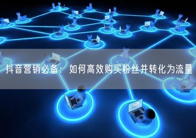 抖音营销必备：如何高效购买粉丝并转化为流量