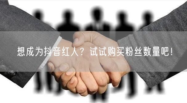 想成为抖音红人？试试购买粉丝数量吧！