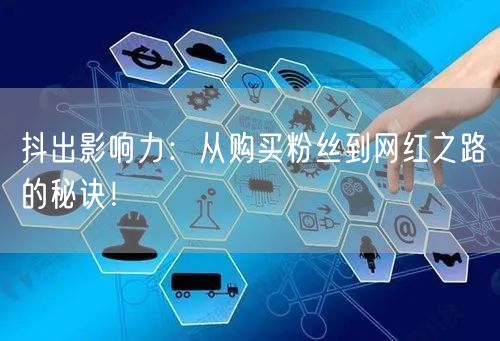 抖出影响力：从购买粉丝到网红之路的秘诀！