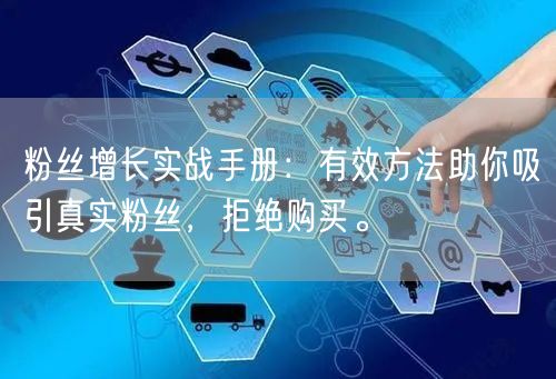 粉丝增长实战手册：有效方法助你吸引真实粉丝，拒绝购买。