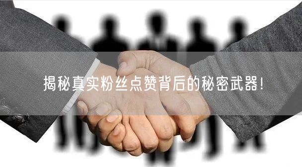揭秘真实粉丝点赞背后的秘密武器！