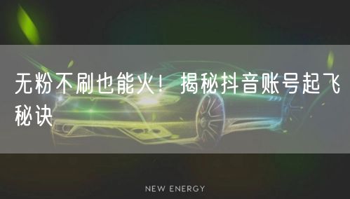 无粉不刷也能火！揭秘抖音账号起飞秘诀