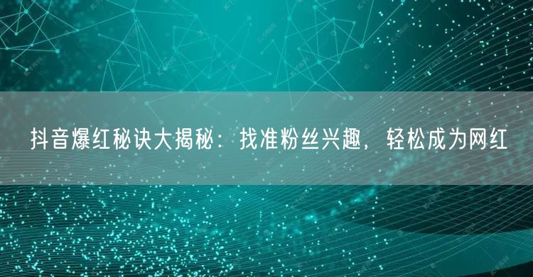 抖音爆红秘诀大揭秘：找准粉丝兴趣，轻松成为网红