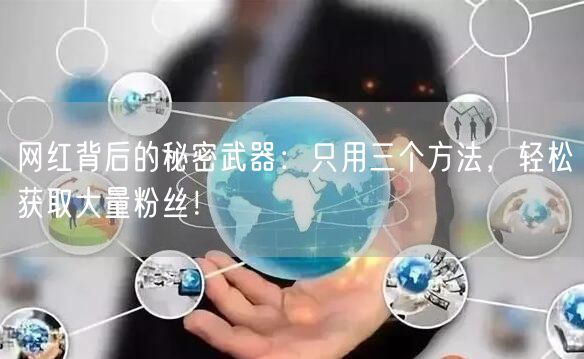 网红背后的秘密武器：只用三个方法，轻松获取大量粉丝！