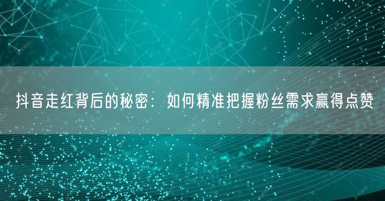 抖音走红背后的秘密：如何精准把握粉丝需求赢得点赞