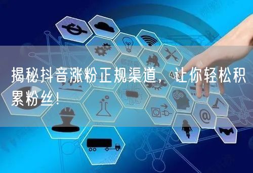 揭秘抖音涨粉正规渠道，让你轻松积累粉丝！
