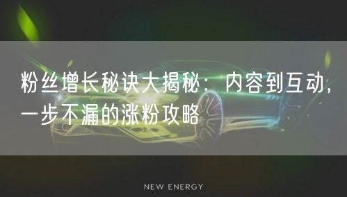 粉丝增长秘诀大揭秘：内容到互动，一步不漏的涨粉攻略