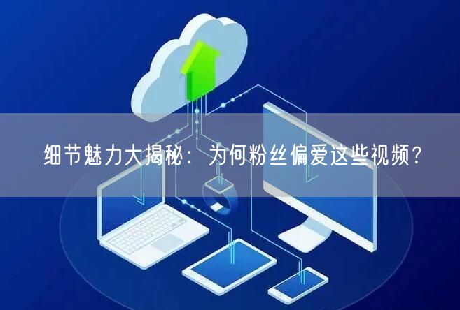 细节魅力大揭秘：为何粉丝偏爱这些视频？