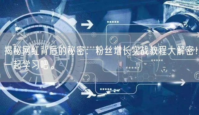 揭秘网红背后的秘密：粉丝增长实战教程大解密！一起学习吧。