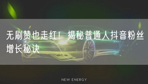 无刷赞也走红！揭秘普通人抖音粉丝增长秘诀