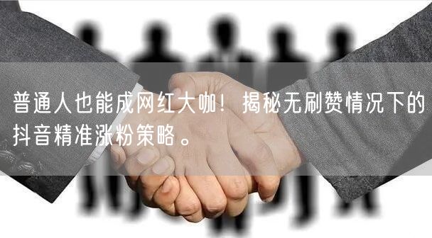 普通人也能成网红大咖！揭秘无刷赞情况下的抖音精准涨粉策略。