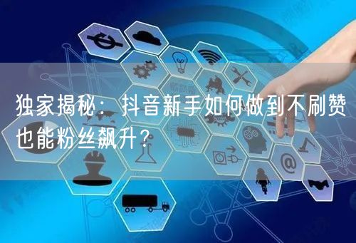 独家揭秘：抖音新手如何做到不刷赞也能粉丝飙升？