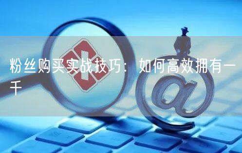 粉丝购买实战技巧：如何高效拥有一千