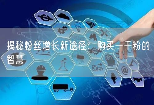 揭秘粉丝增长新途径：购买一千粉的智慧