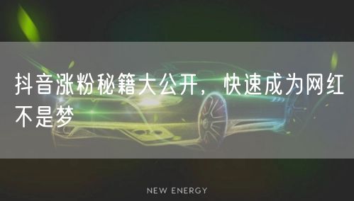 抖音涨粉秘籍大公开，快速成为网红不是梦