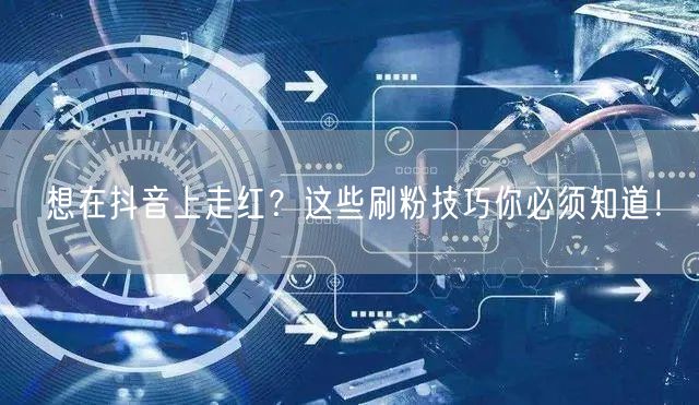 想在抖音上走红？这些刷粉技巧你必须知道！