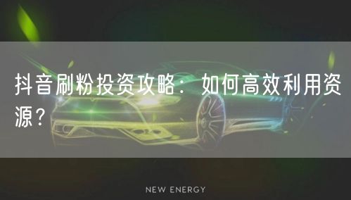 抖音刷粉投资攻略：如何高效利用资源？