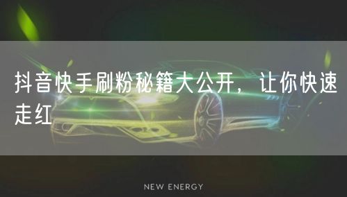 抖音快手刷粉秘籍大公开，让你快速走红