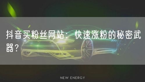 抖音买粉丝网站：快速涨粉的秘密武器？