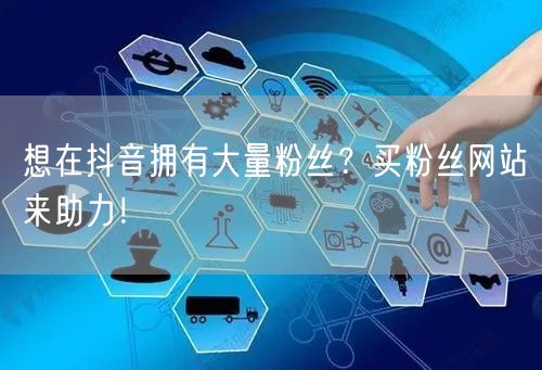 想在抖音拥有大量粉丝？买粉丝网站来助力！
