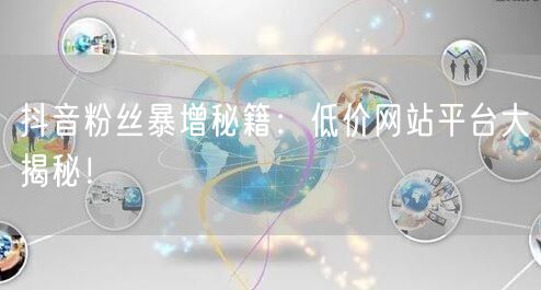 抖音粉丝暴增秘籍：低价网站平台大揭秘！