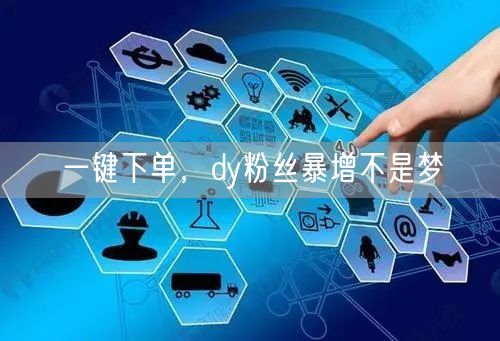 一键下单，dy粉丝暴增不是梦