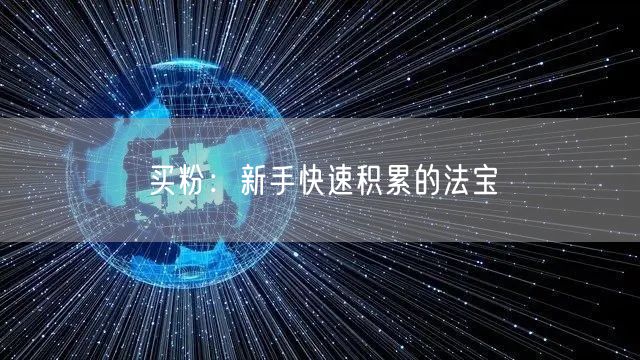 买粉：新手快速积累的法宝