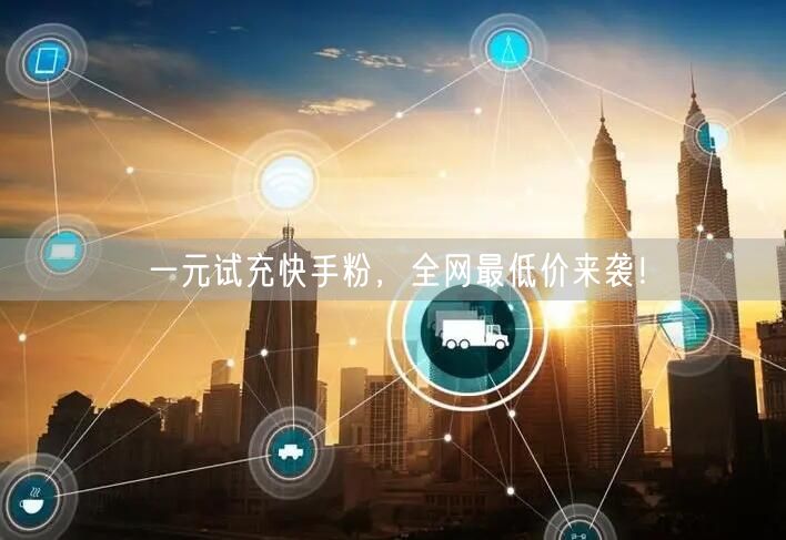 一元试充快手粉，全网最低价来袭！
