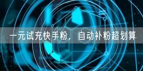 一元试充快手粉，自动补粉超划算