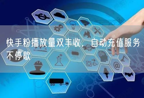 快手粉播放量双丰收，自动充值服务不停歇
