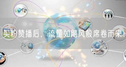 买粉赞播后，流量如飓风般席卷而来！