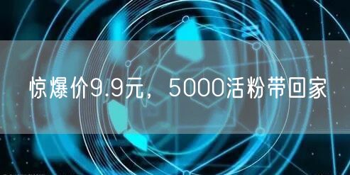 惊爆价9.9元，5000活粉带回家