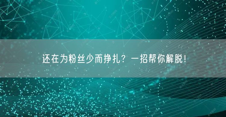 还在为粉丝少而挣扎？一招帮你解脱！