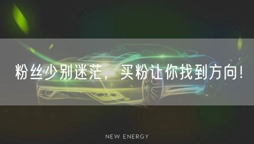 粉丝少别迷茫，买粉让你找到方向！
