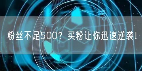 粉丝不足500？买粉让你迅速逆袭！