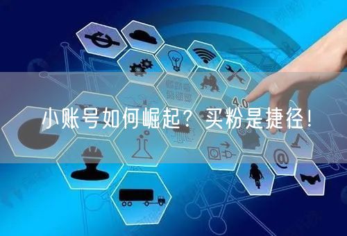 小账号如何崛起？买粉是捷径！
