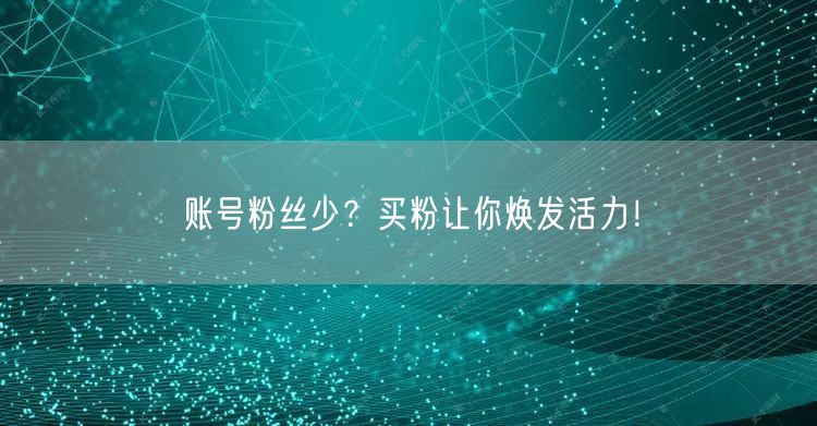 账号粉丝少？买粉让你焕发活力！