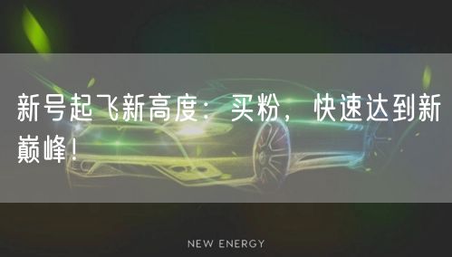 新号起飞新高度：买粉，快速达到新巅峰！